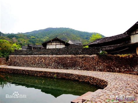 漳州如何去麗水：探尋旅途中的文化交融與美食探索